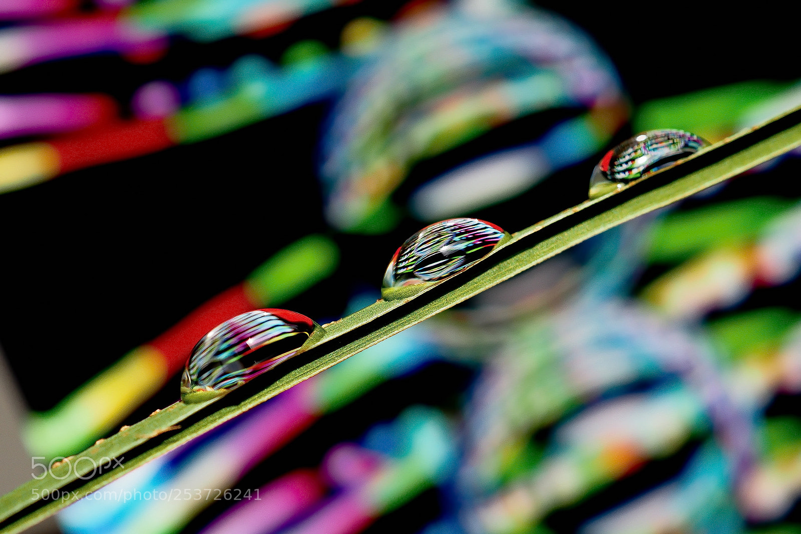 Olympus OM-D E-M10 II sample photo. Abstract drops 5 photography