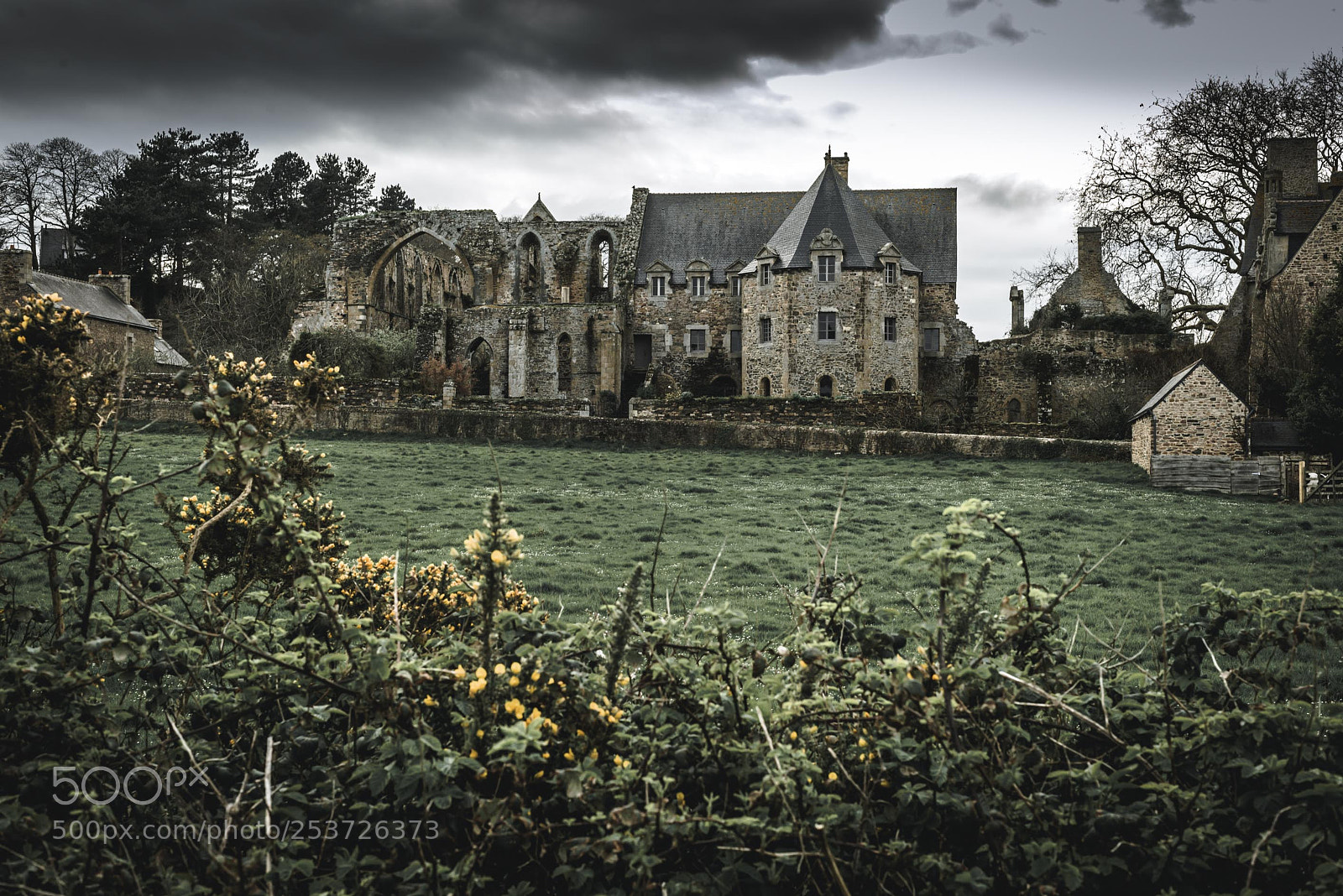 Nikon D610 sample photo. Beauport abbey photography