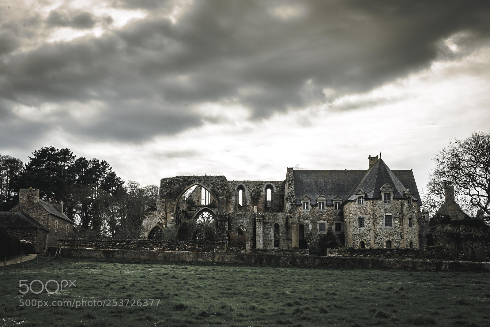Nikon D610 sample photo. Beauport abbey photography