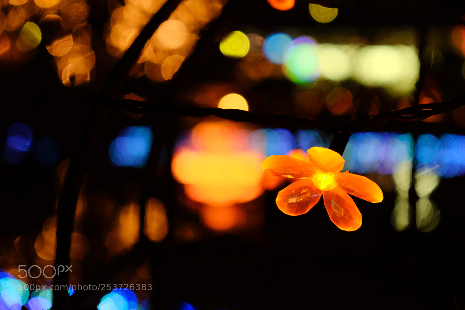 Fujifilm X-T20 sample photo. 光の花たち photography