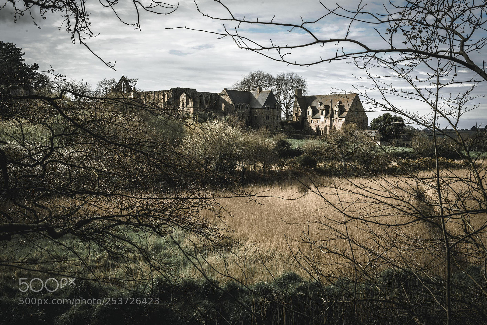 Nikon D610 sample photo. Beauport abbey photography