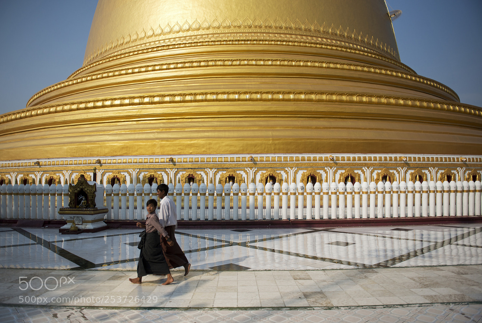 Nikon D800E sample photo. Golden bell photography