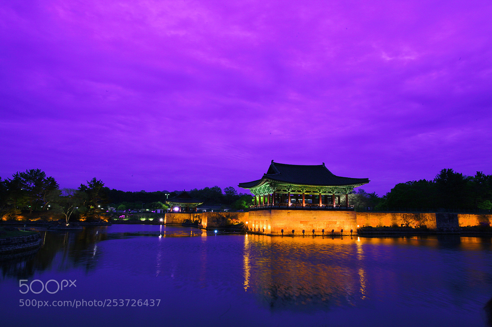 Canon EOS 5D Mark II sample photo. East and moon pond photography