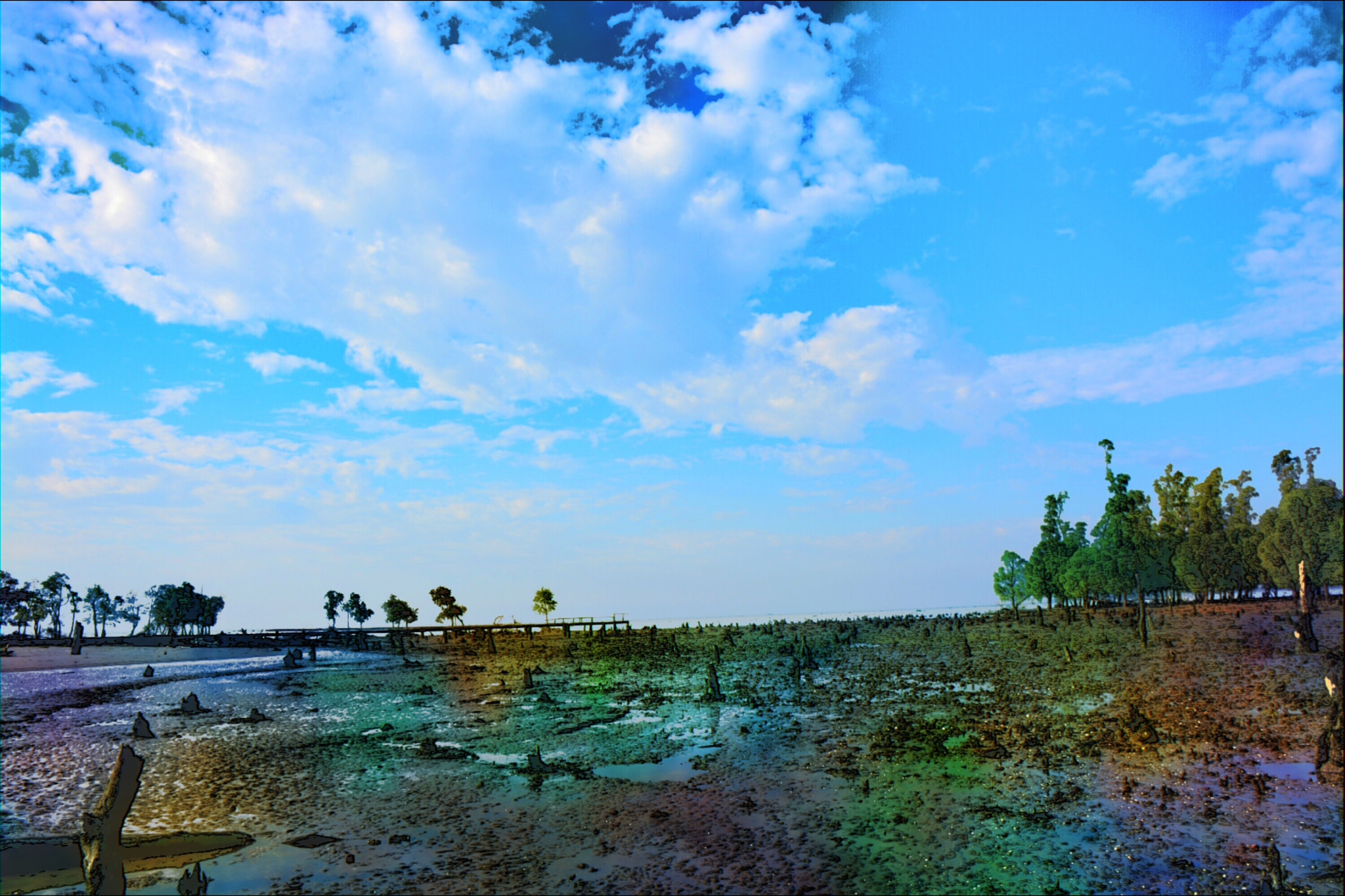 Nikon D5200 sample photo. Sundarban landscape photography