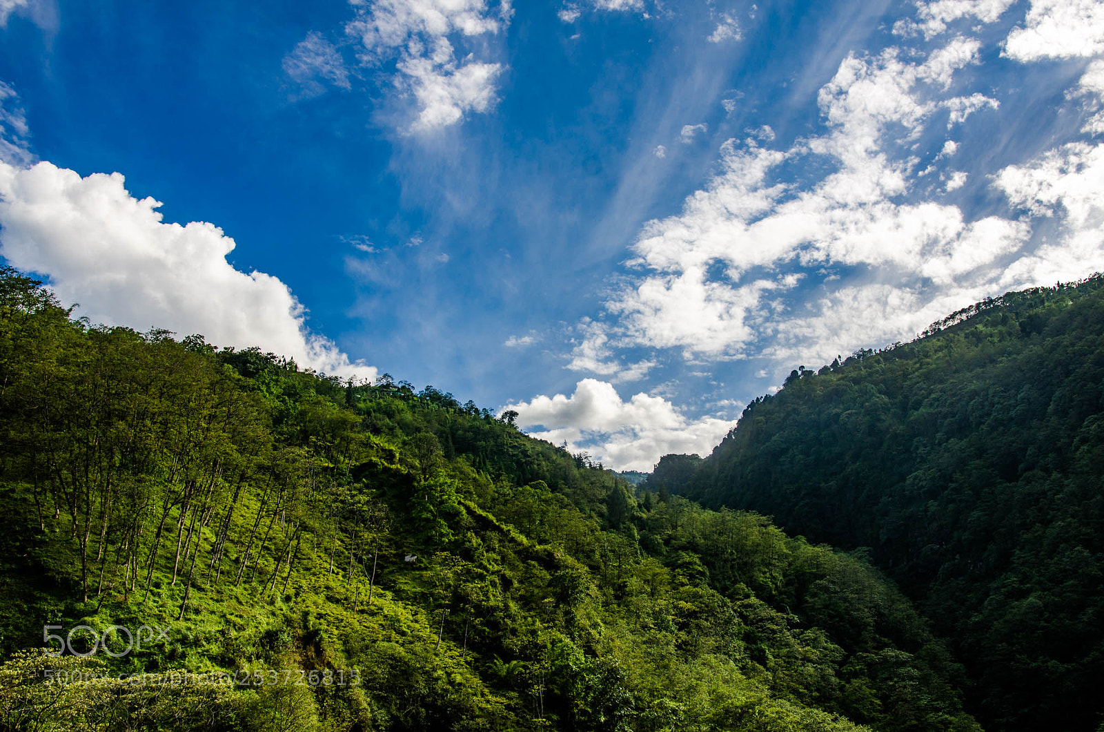 Nikon D7000 sample photo. On the way to photography