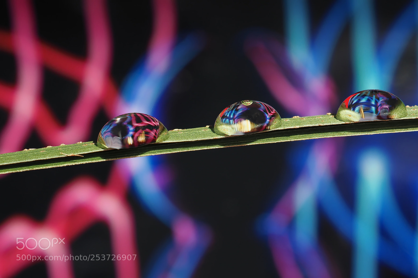 Olympus OM-D E-M10 II sample photo. Abstract drops 3 photography