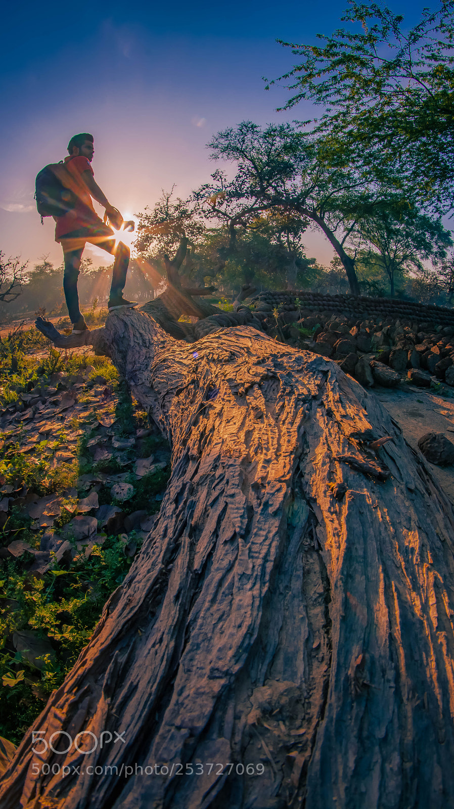 Nikon D7100 sample photo. Nature n conversation ! photography