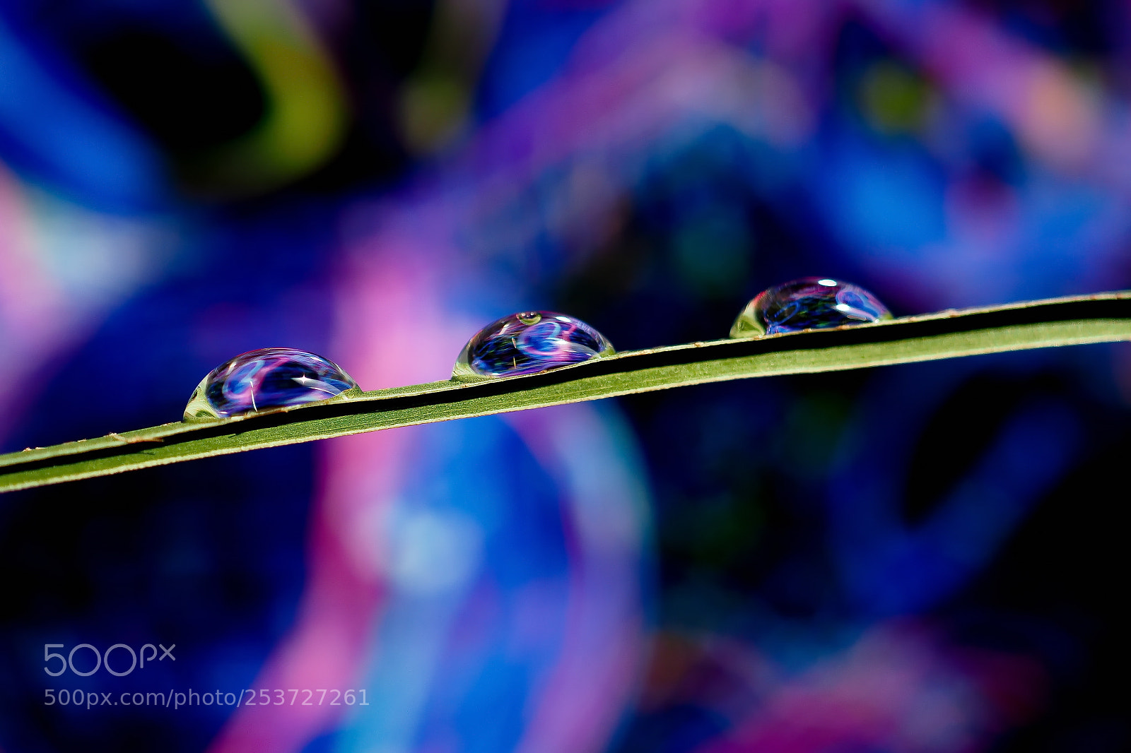 Olympus OM-D E-M10 II sample photo. Abstract drops 2 photography