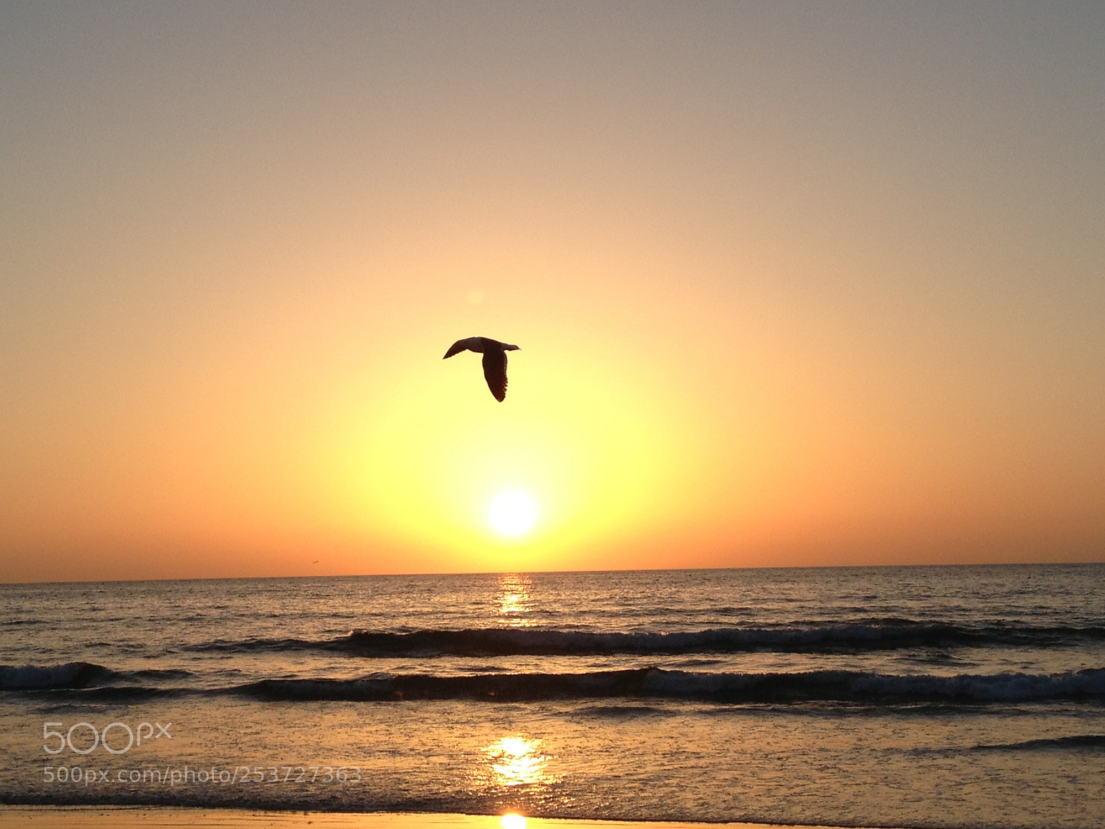 Apple iPhone 4S sample photo. Sunset at la jolla photography