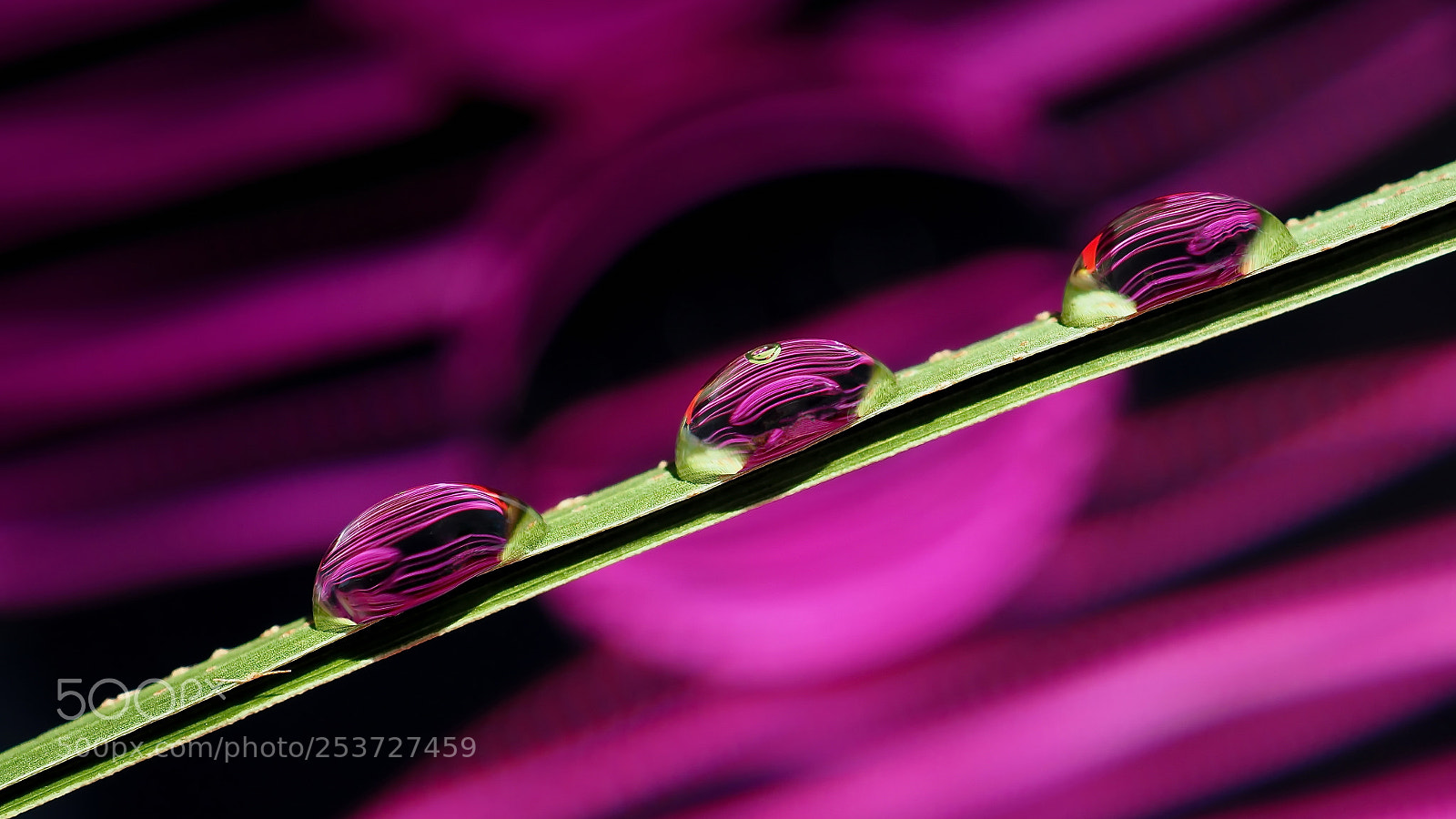 Olympus OM-D E-M10 II sample photo. Abstract drops 1 photography