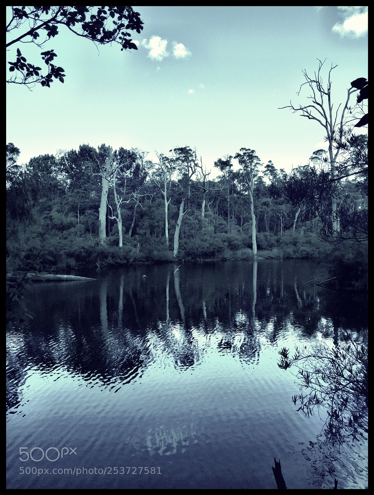 Apple iPhone 6 Plus sample photo. Untitled photography