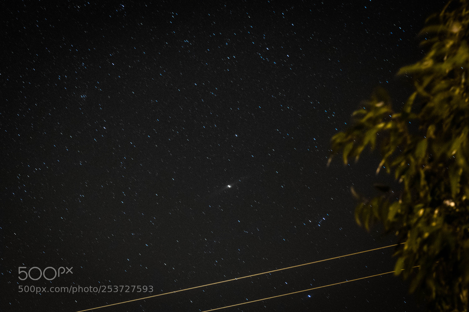 Nikon D3300 sample photo. Starry night photography