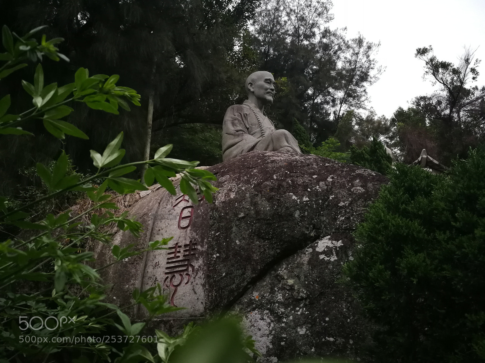 HUAWEI P10 sample photo. Untitled photography