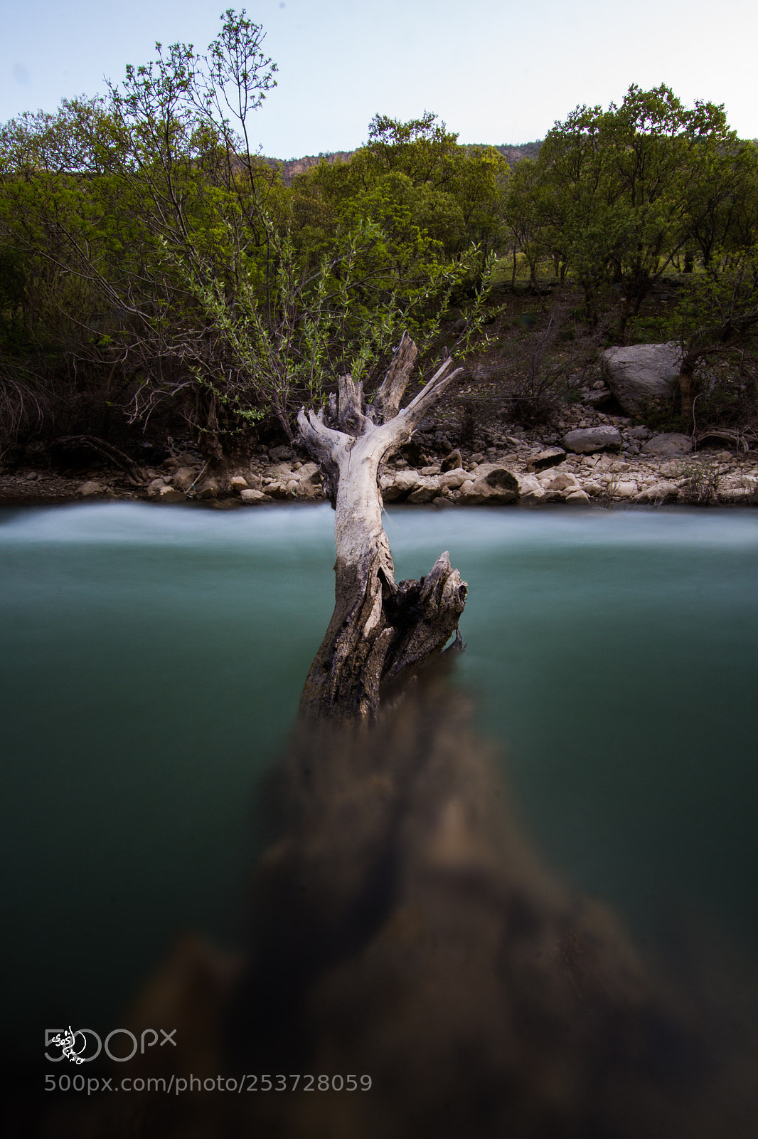 Canon EOS 700D (EOS Rebel T5i / EOS Kiss X7i) sample photo. Tree in river photography
