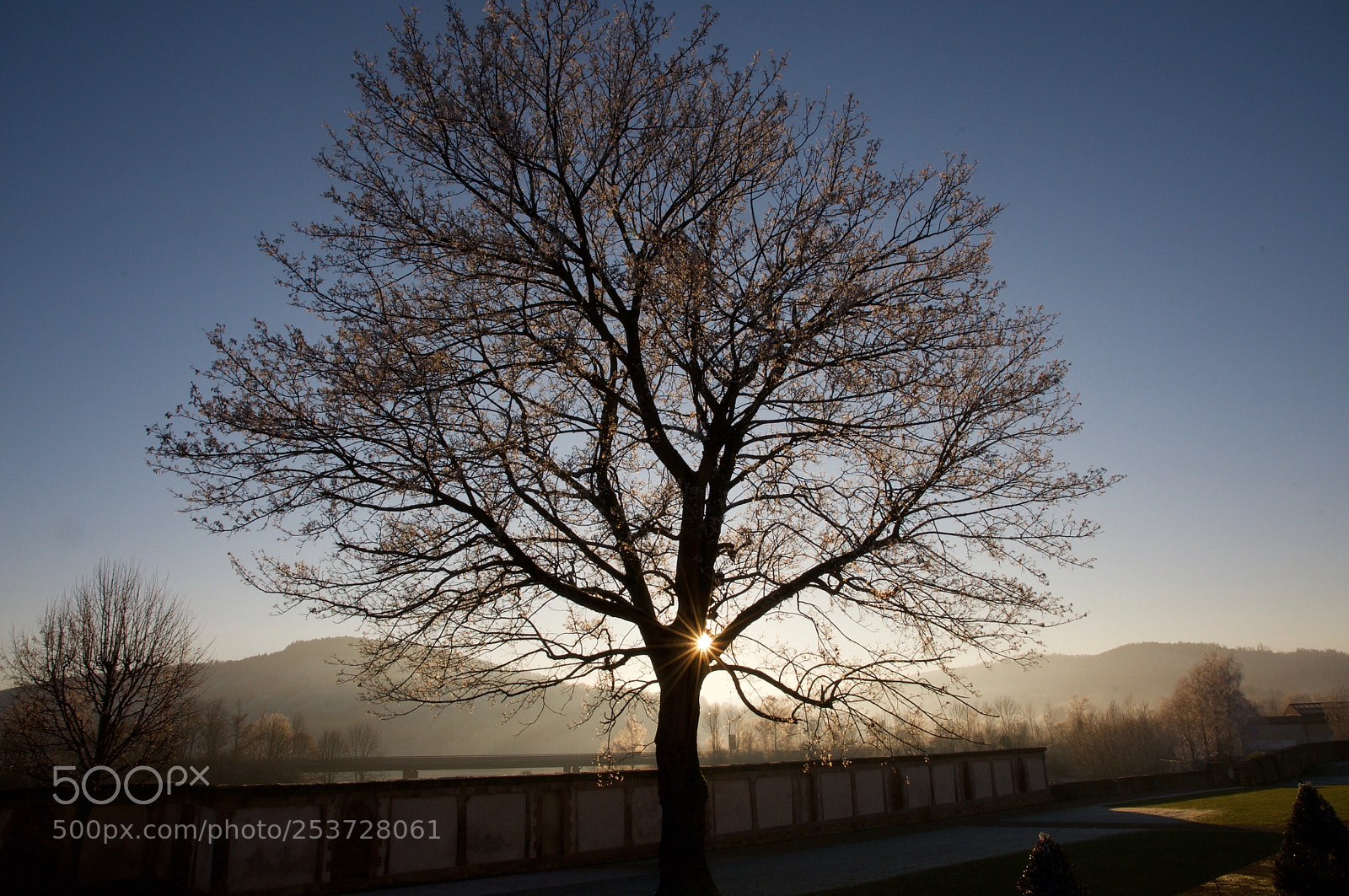 Nikon D300S sample photo. Sonnenuntergang mit baum davor  photography