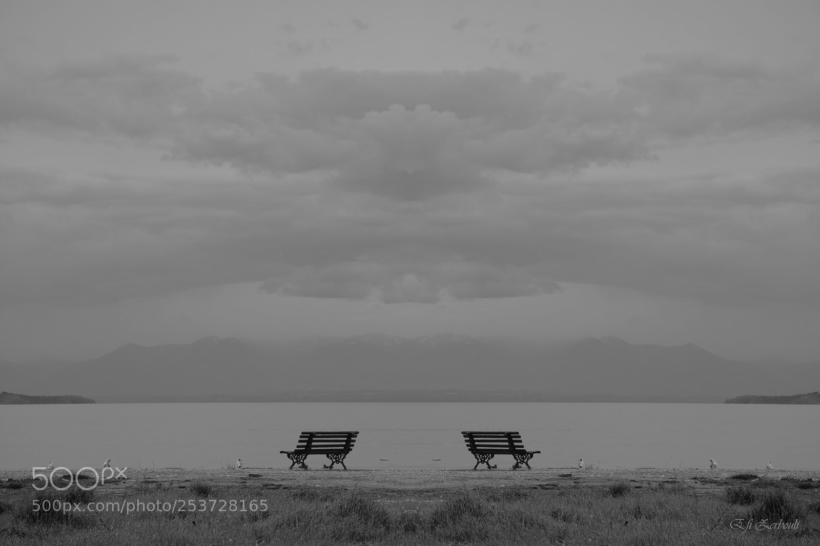 Nikon D7100 sample photo. Untitled photography
