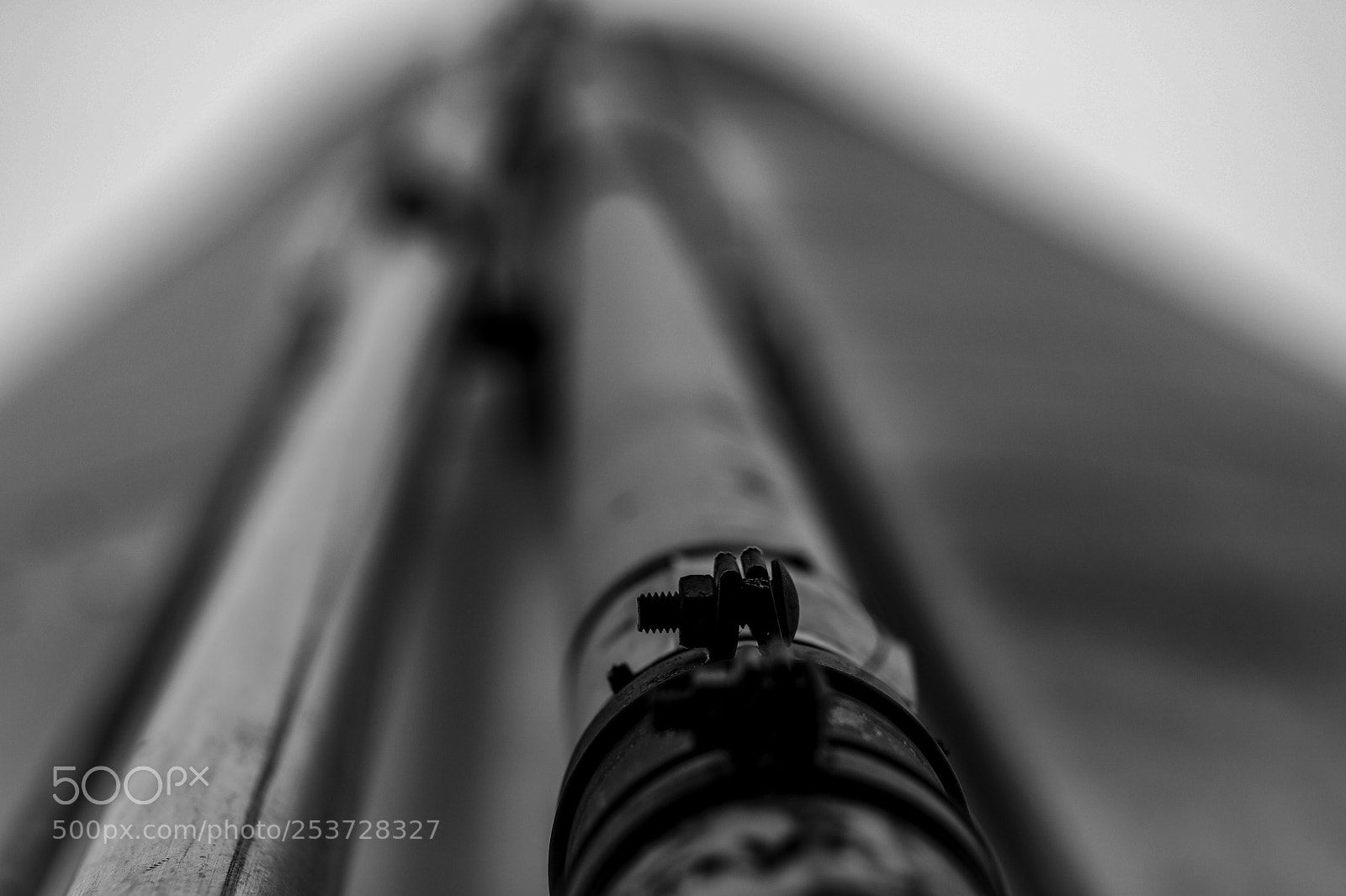 Canon EOS 6D Mark II sample photo. Untitled photography