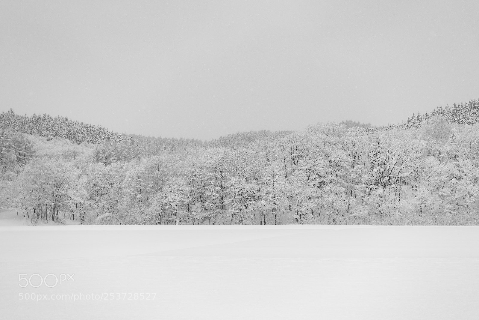 Sony Cyber-shot DSC-RX100 III sample photo. Winter forest #2 photography