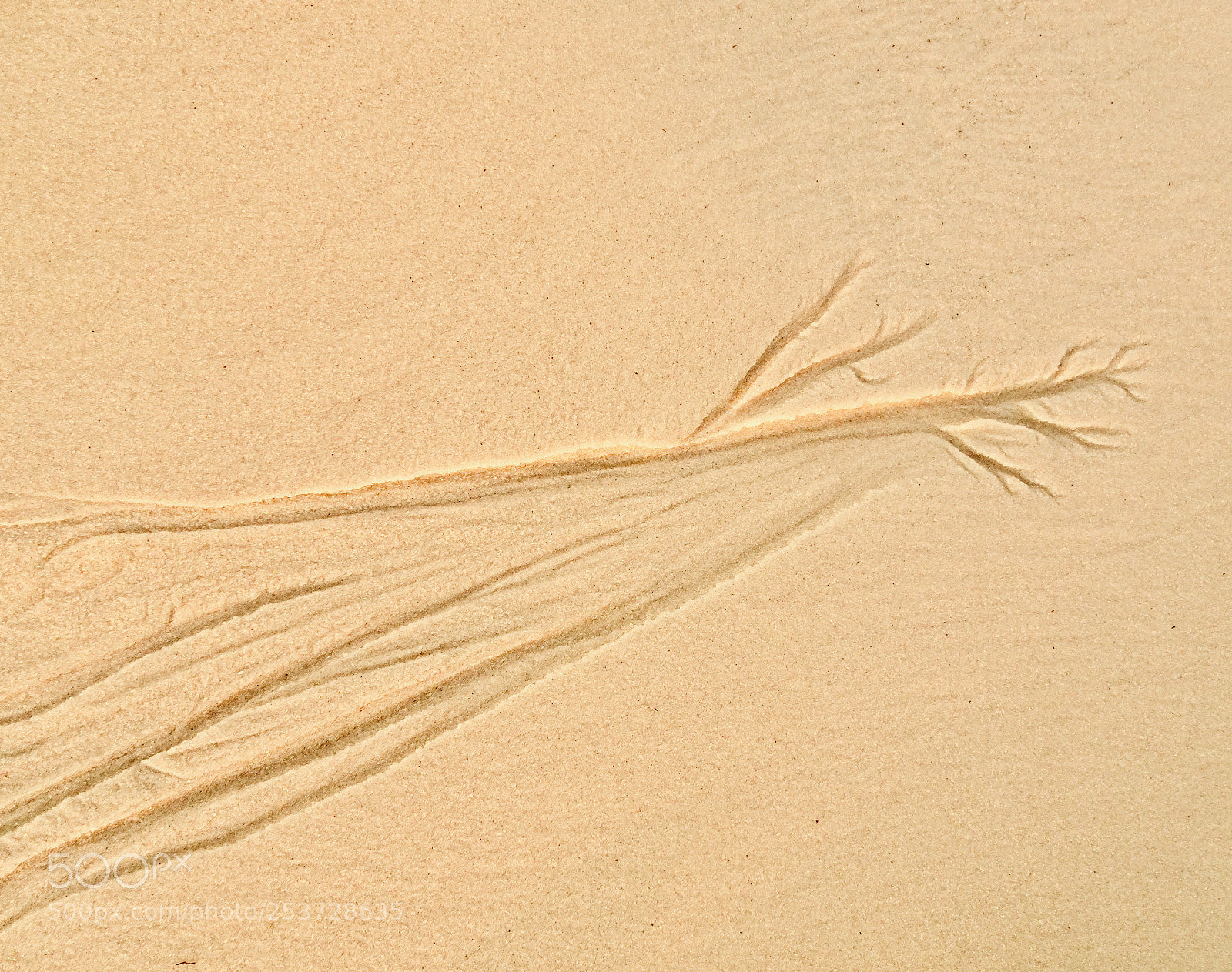 Sony Cyber-shot DSC-HX90V sample photo. Sandscape 2.38 photography