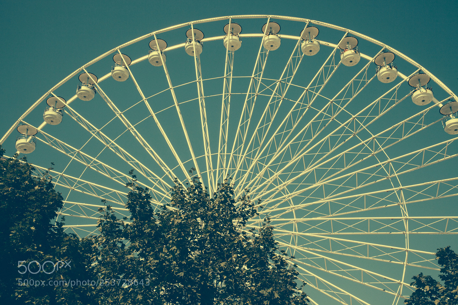 Canon EOS 5D Mark II sample photo. La grande roue (paris) photography