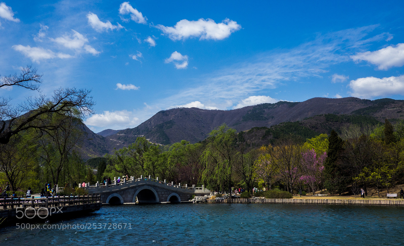 Olympus OM-D E-M10 sample photo. Spring day photography