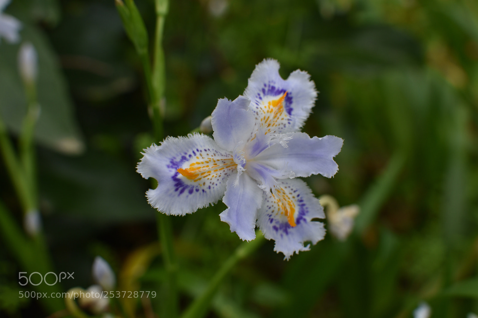 Nikon D3400 sample photo. Untitled photography