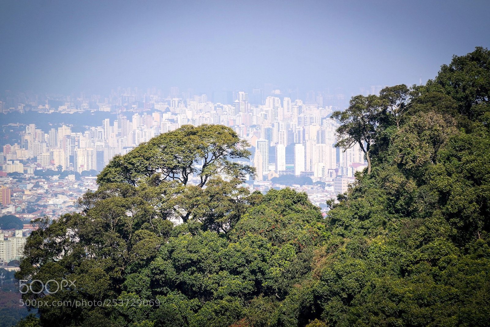 Samsung NX2000 sample photo. 0018.jpg photography