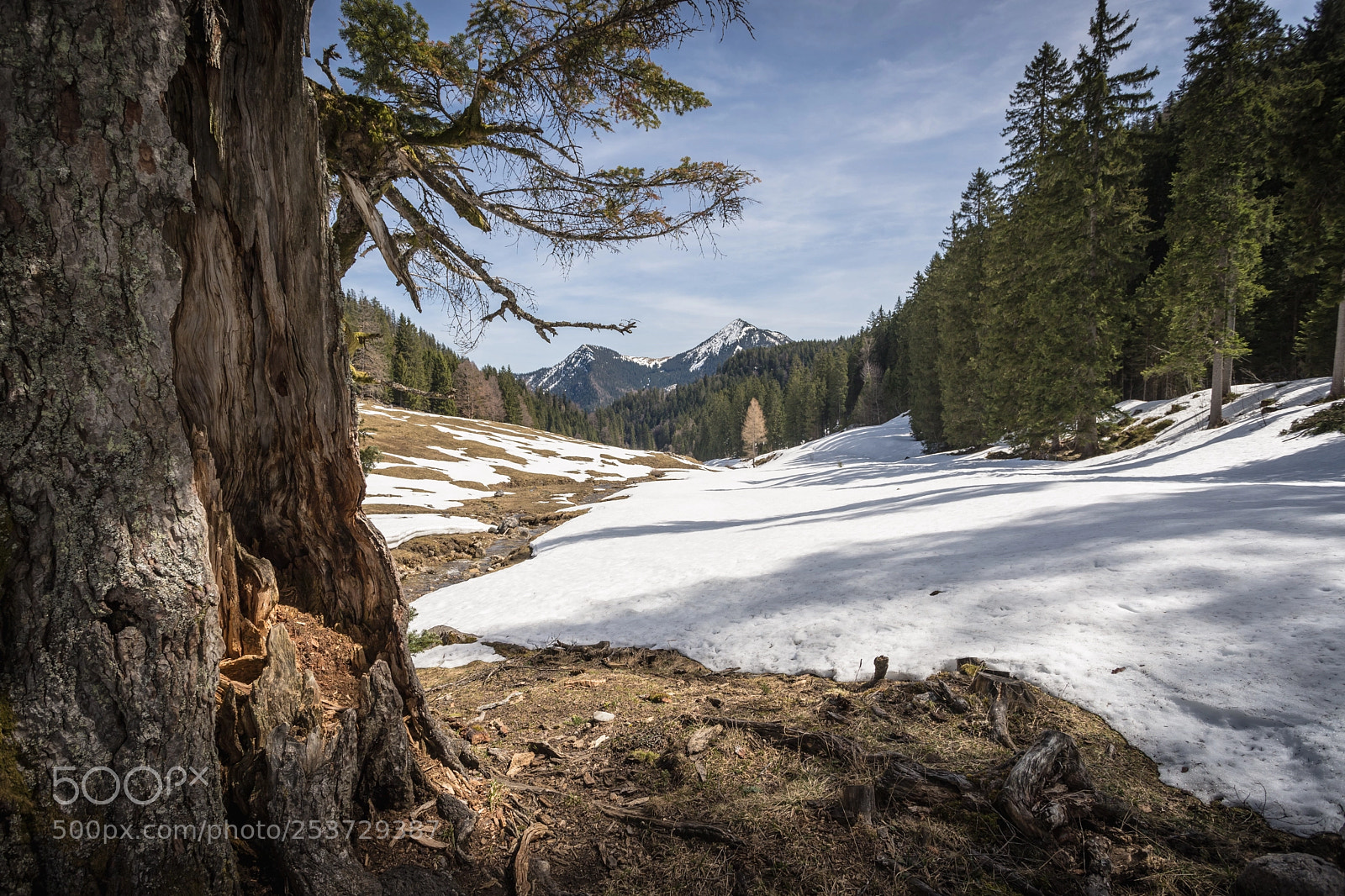 Canon EOS 6D Mark II sample photo. Auf dem weg zum photography