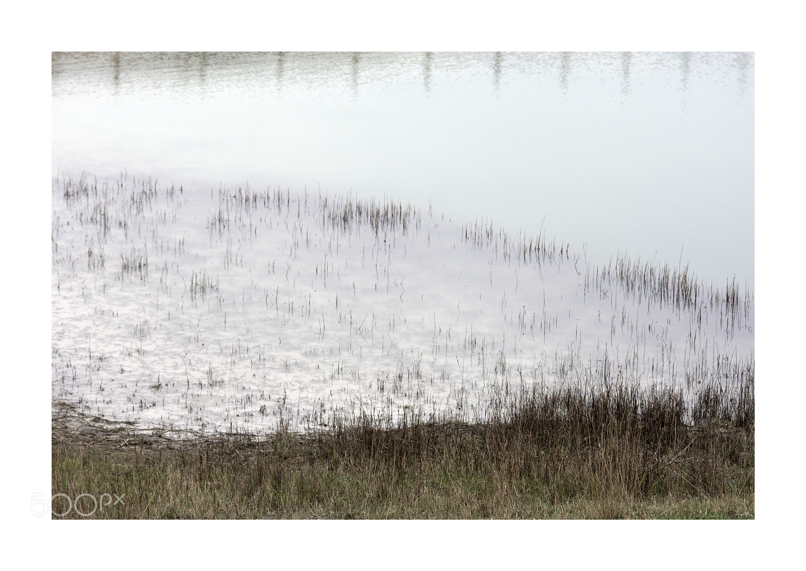 Nikon D7200 sample photo. Landscape of samphire hoe photography