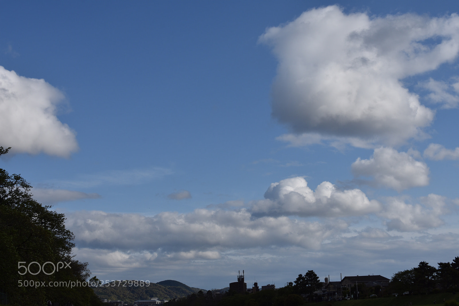 Nikon D3400 sample photo. Untitled photography
