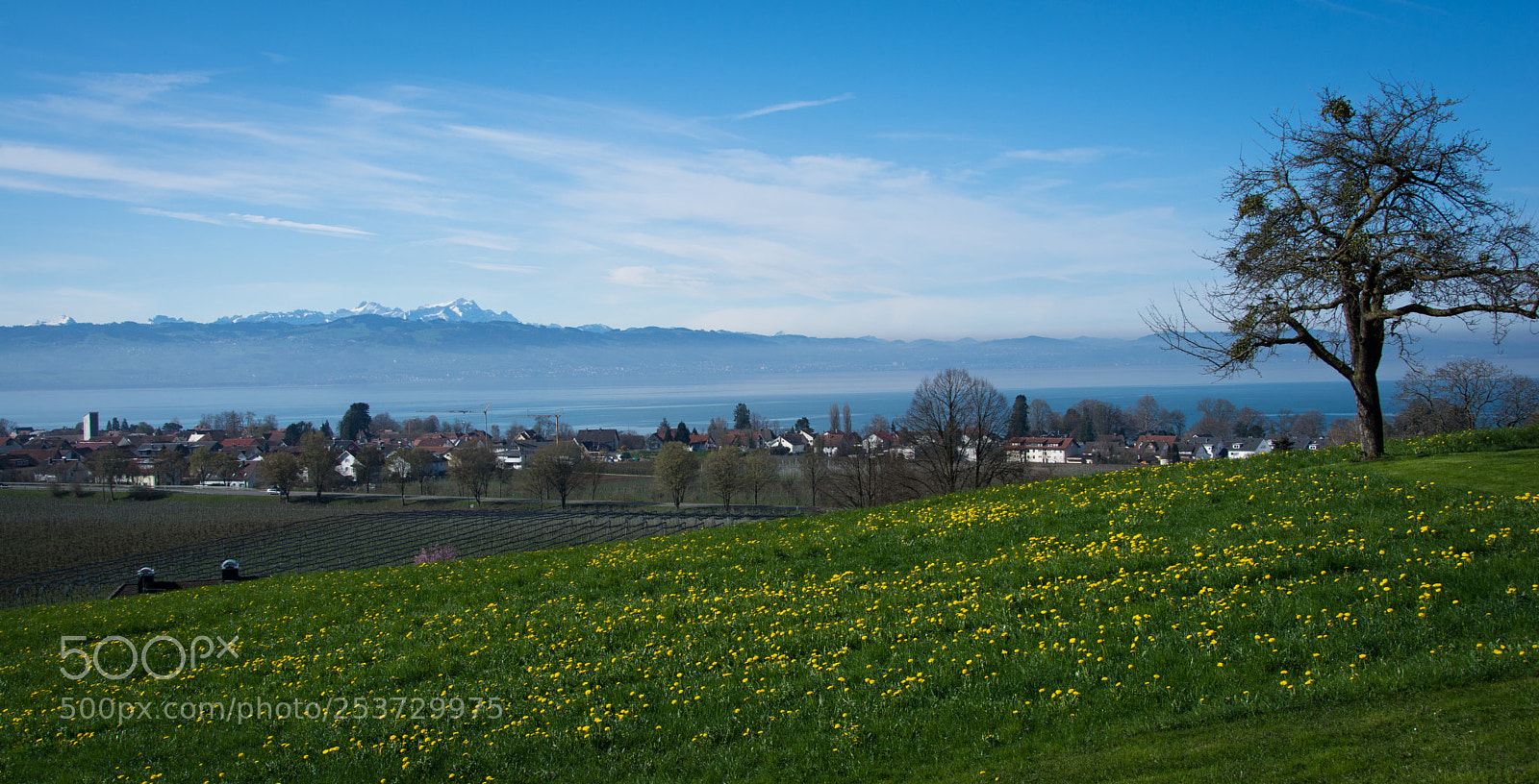Nikon D7100 sample photo. Landscape lake constance photography