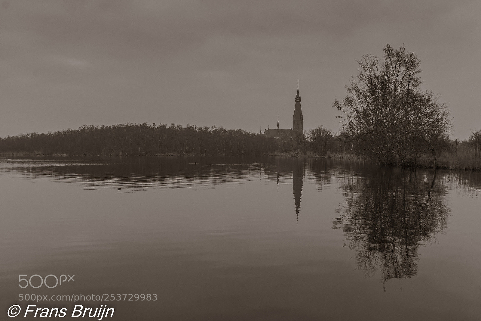 Canon EOS 60D sample photo. Aalsmeer photography