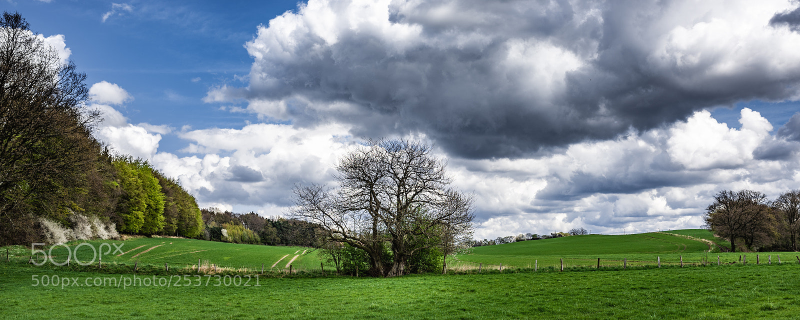 Nikon D810 sample photo. A nice day in photography