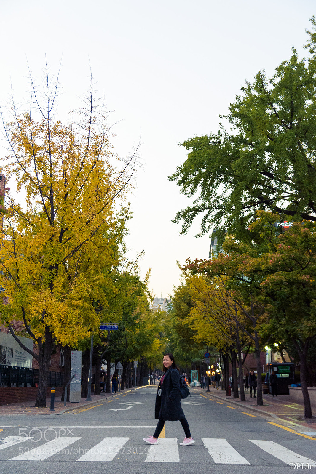 Nikon D7200 sample photo. Autumn in seoul photography