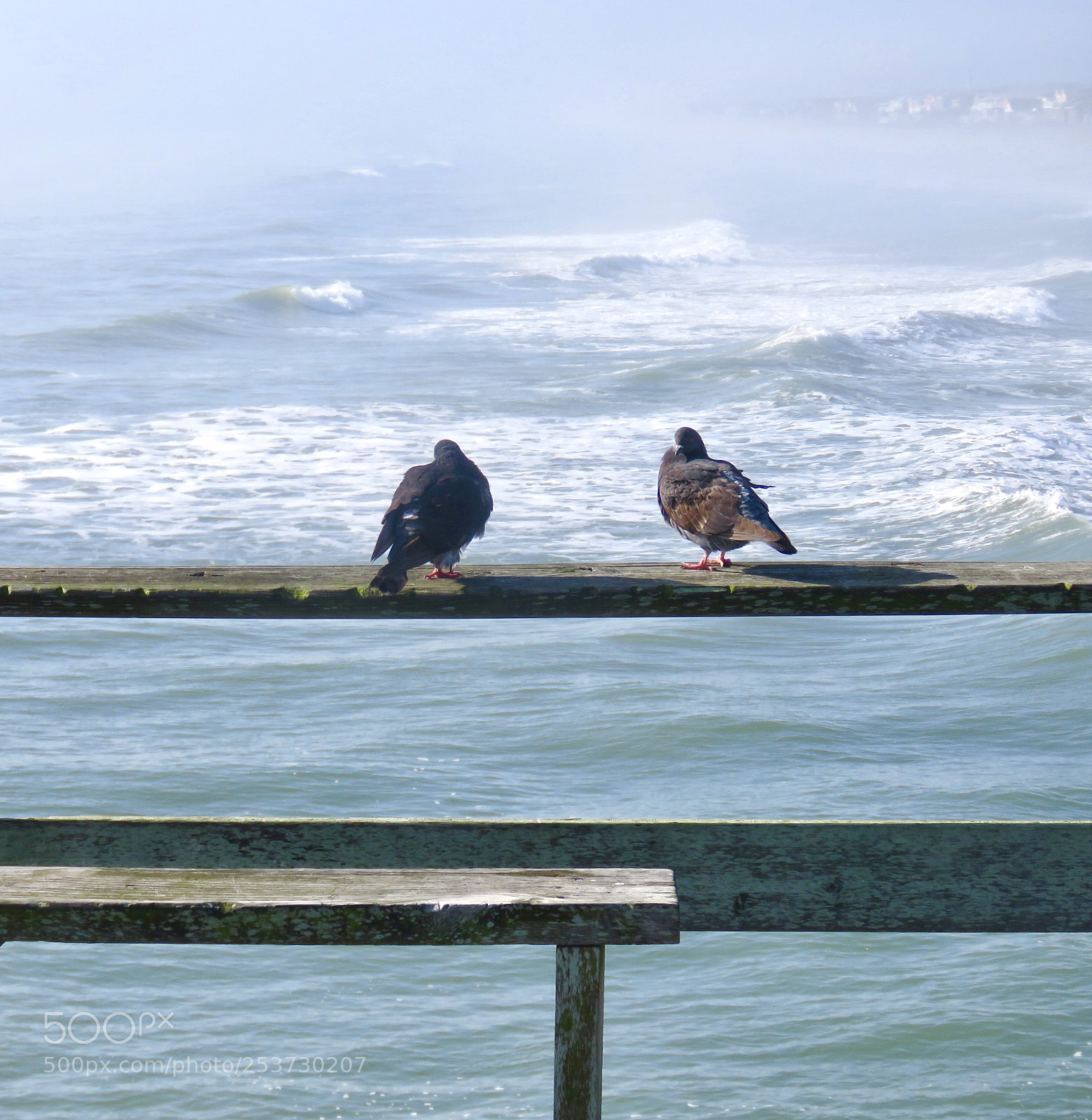 Canon PowerShot SX60 HS sample photo. Bird's eye view photography