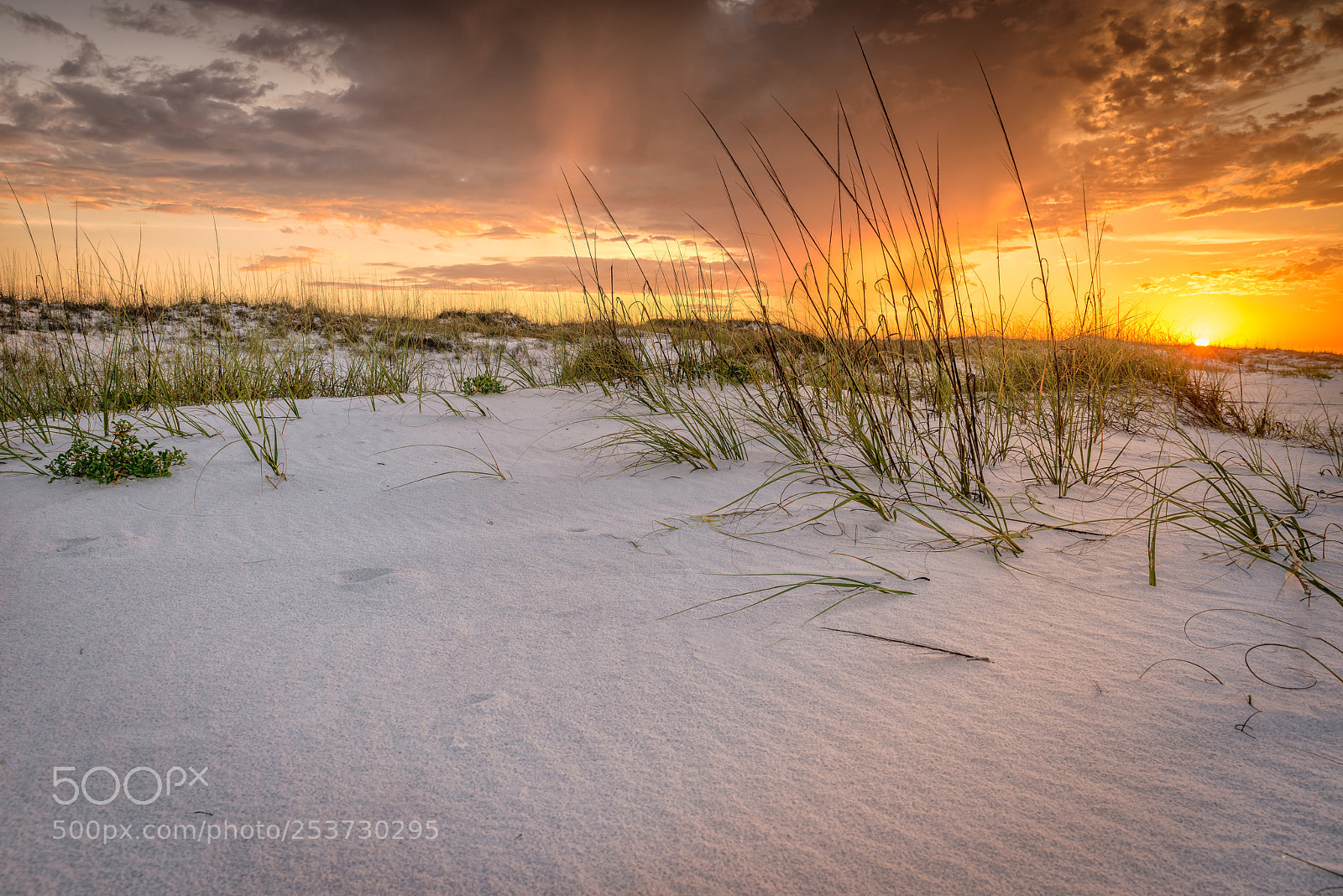 Nikon D800E sample photo. Destin sunrise photography