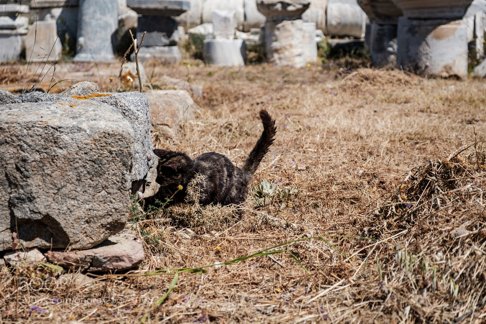 Fujifilm X-T20 sample photo. Ruins explorer photography