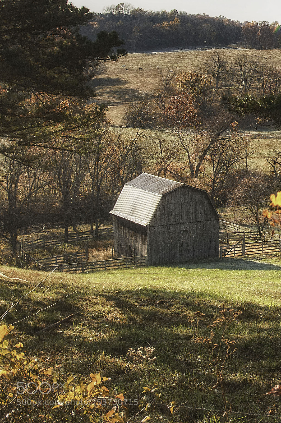 Nikon D300 sample photo. Autumn barn photography
