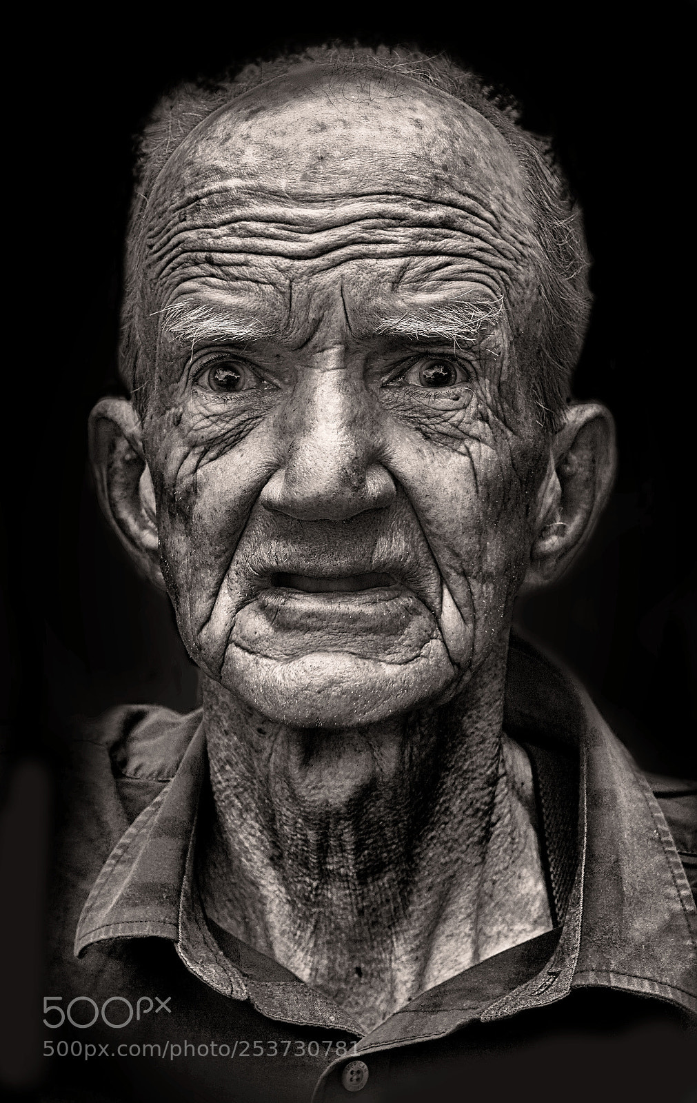 Sony ILCA-77M2 sample photo. Jerry photography