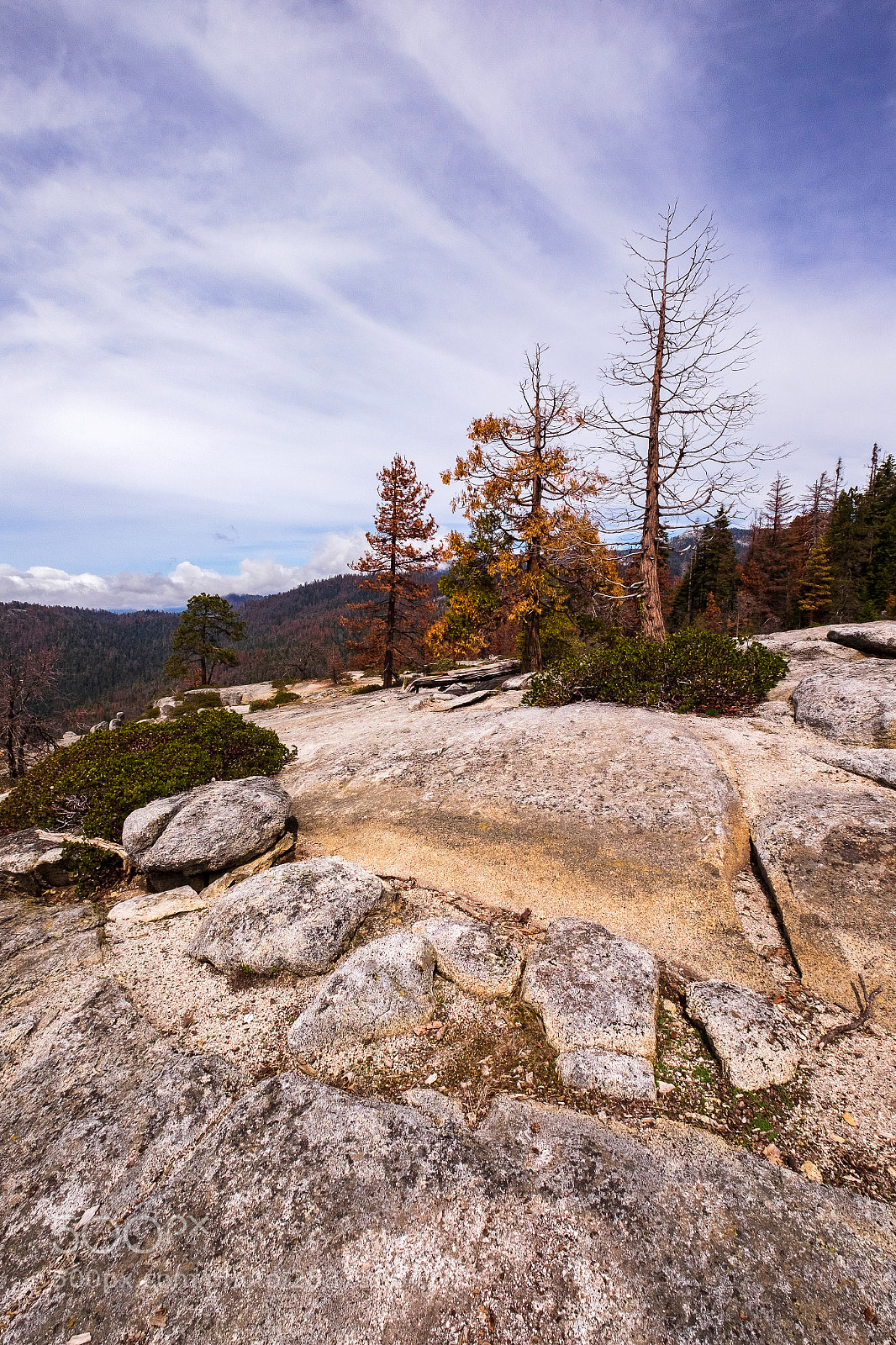 Fujifilm X-T1 sample photo. Stones, trees, sky, nature photography