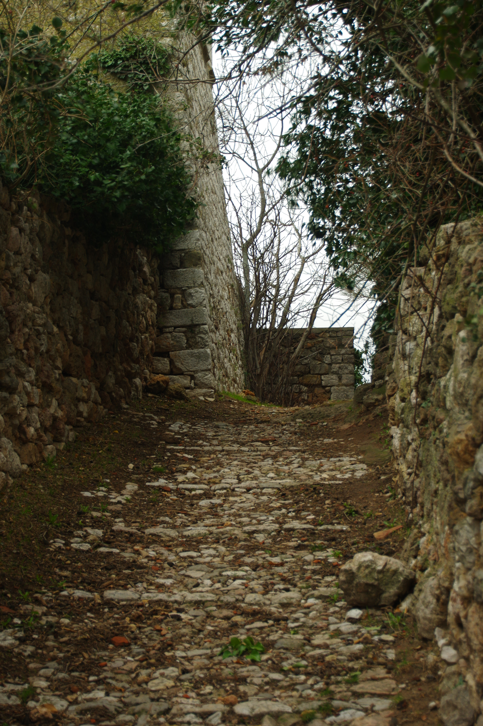 Pentax K-3 II sample photo. Il y a longtemps ... photography