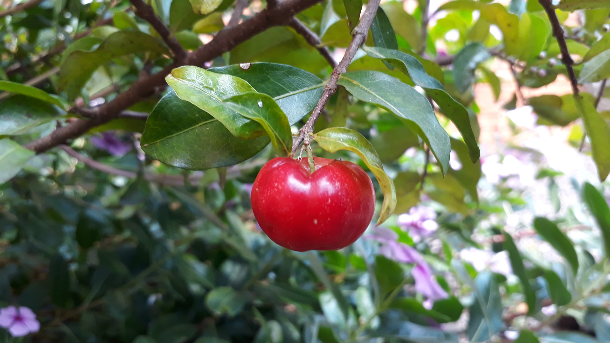 Samsung Galaxy J7 Prime sample photo
