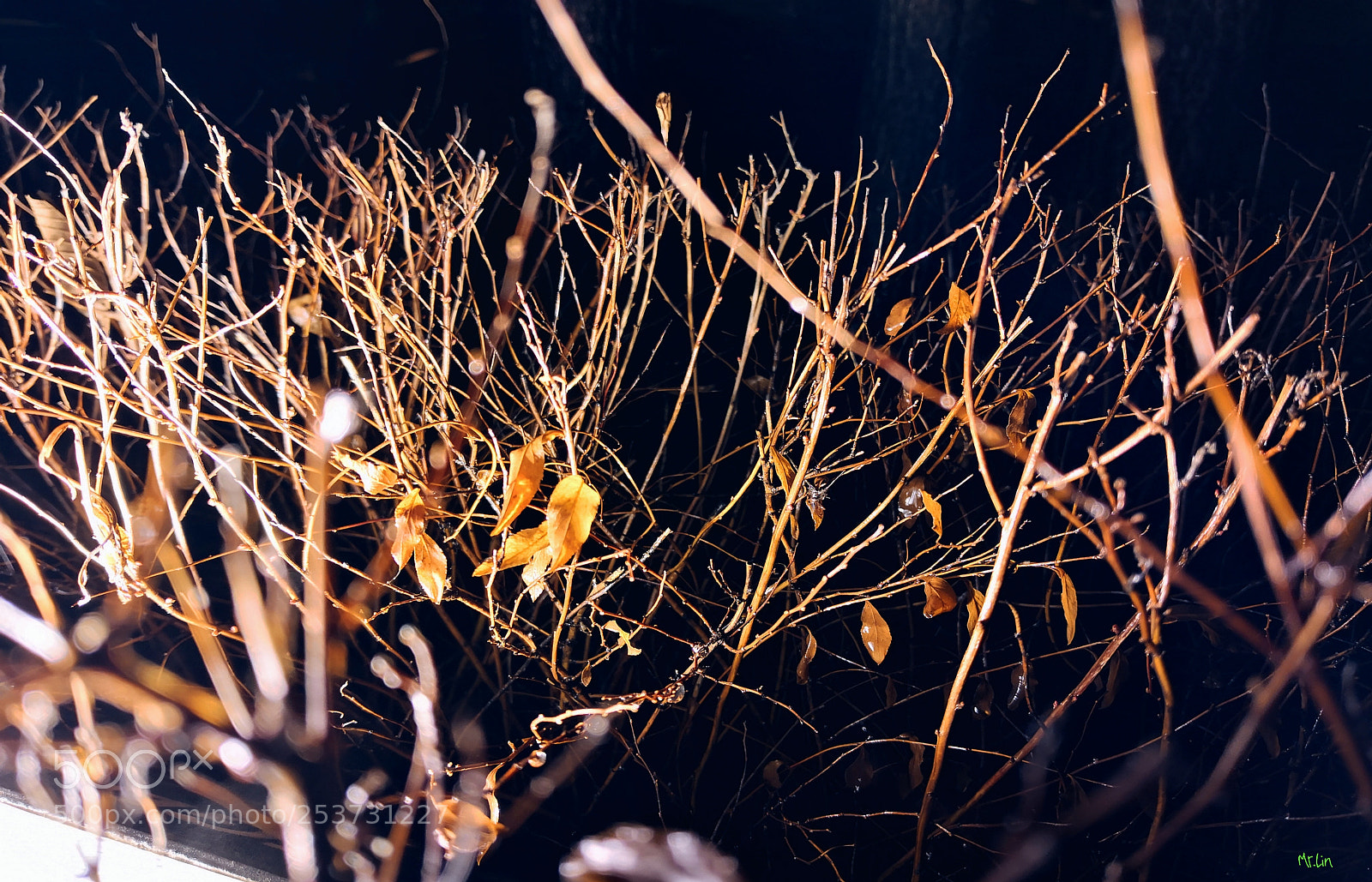 HUAWEI Mate 10 sample photo. Untitled photography