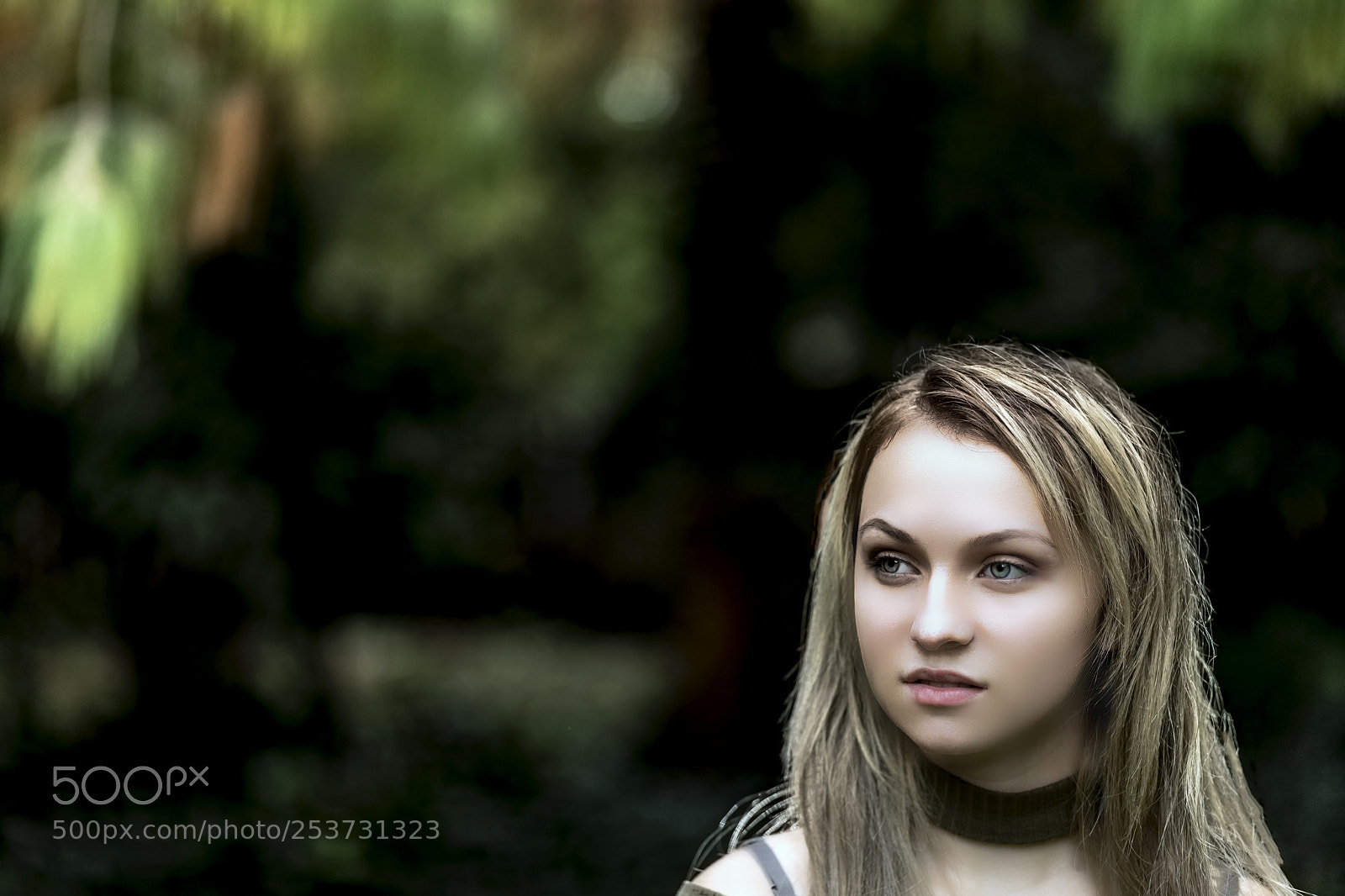 Canon EOS 5D Mark IV sample photo. Jennifer lee photography