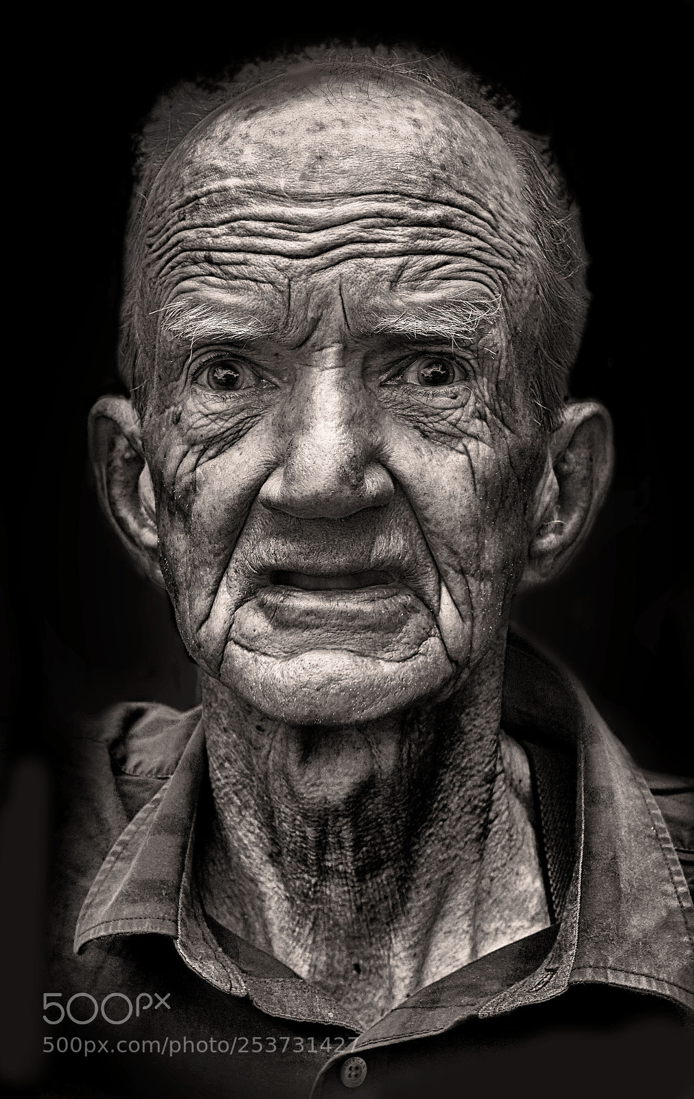 Sony ILCA-77M2 sample photo. Jerry photography