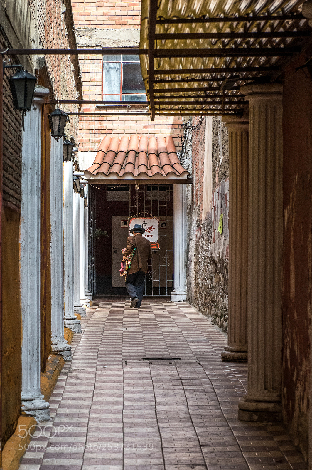 Nikon D810 sample photo. Laneway entrance photography