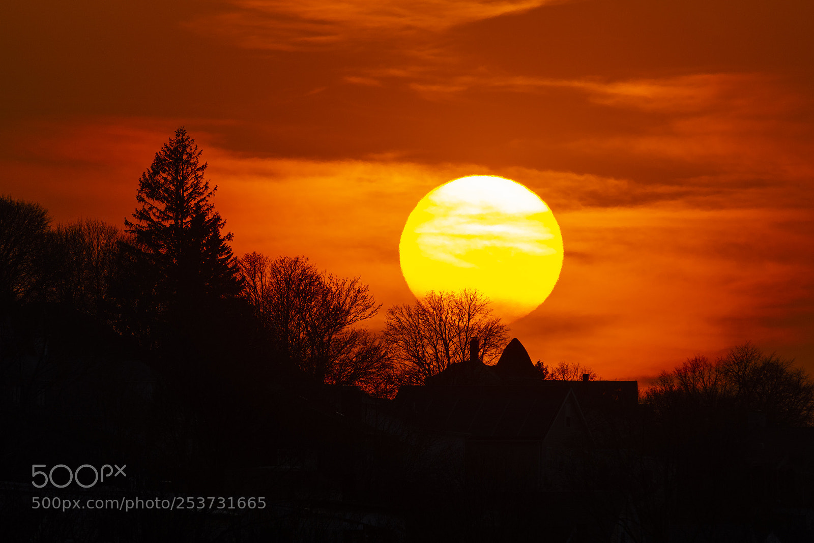 Nikon D500 sample photo. Sun photography