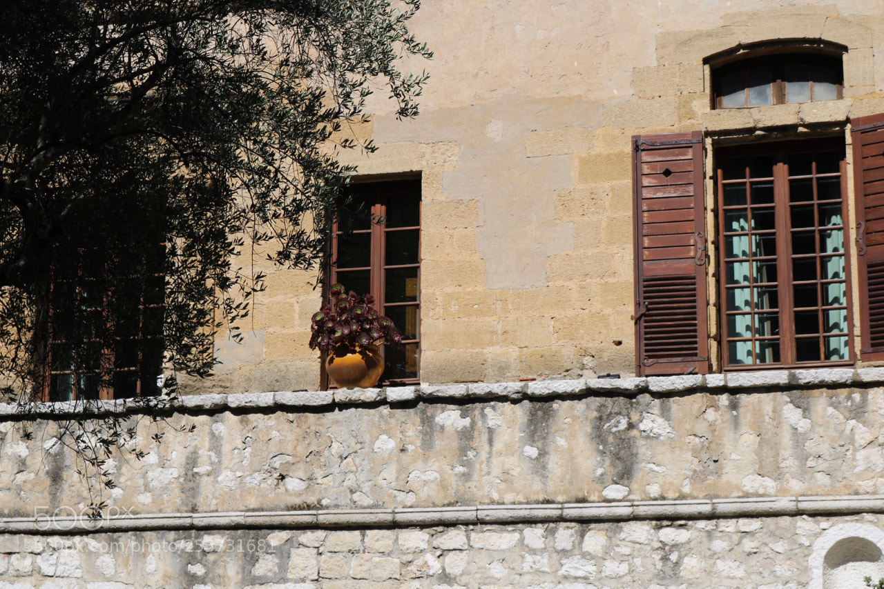 Canon EOS 750D (EOS Rebel T6i / EOS Kiss X8i) sample photo. French wall photography