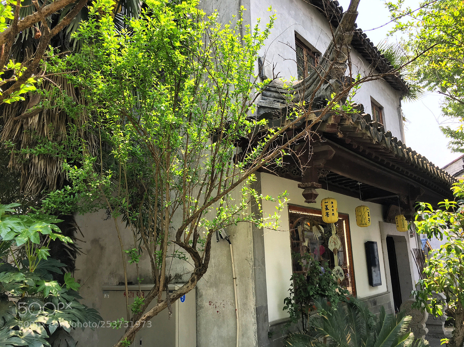 Apple iPhone 6s sample photo. Suzhou china photography