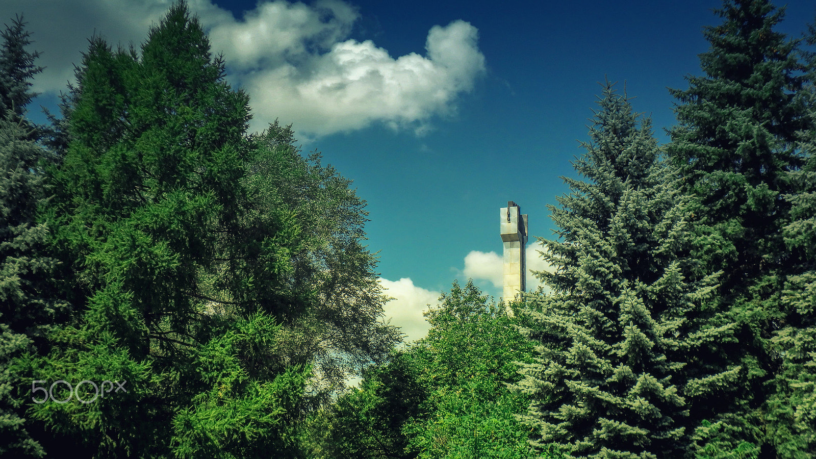 Olympus TG-860 sample photo. Green fir trees in the park photography